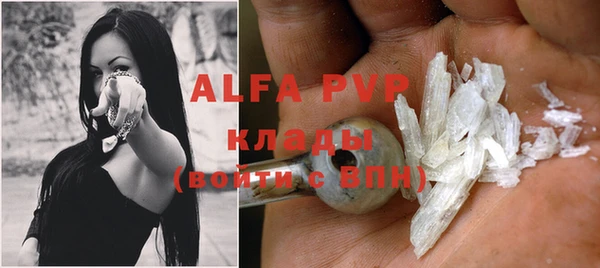 амф Инсар