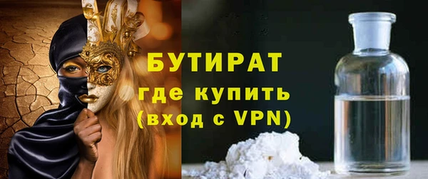 индика Инта