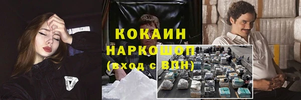 амф Инсар