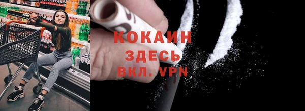 прущие грибы Иннополис