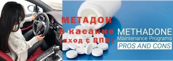индика Инта