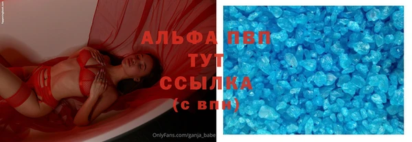 прущие грибы Иннополис
