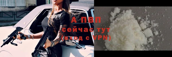 прущие грибы Иннополис