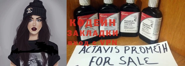 индика Инта