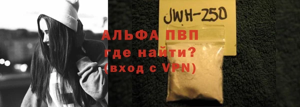 индика Инта