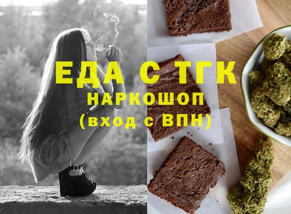 индика Инта