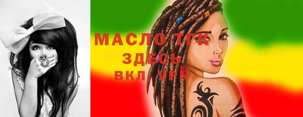 индика Инта
