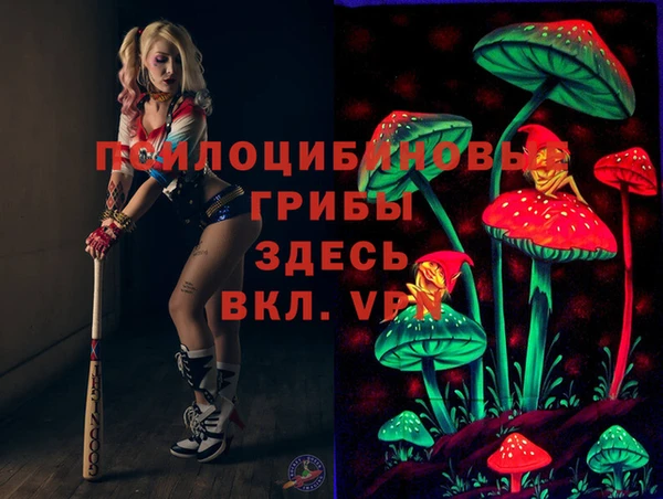 прущие грибы Иннополис