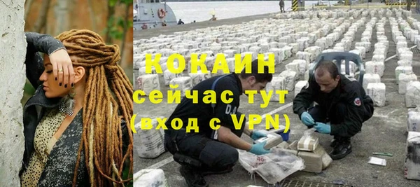 прущие грибы Иннополис