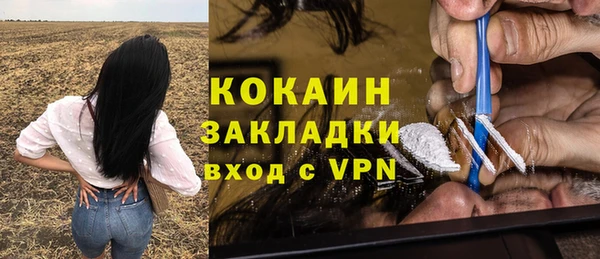 прущие грибы Иннополис