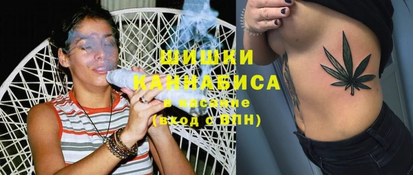 индика Инта