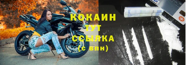 индика Инта