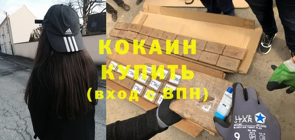 прущие грибы Иннополис