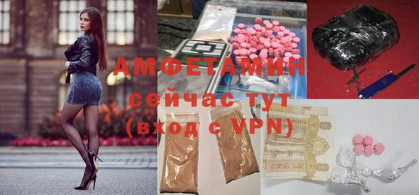 прущие грибы Иннополис