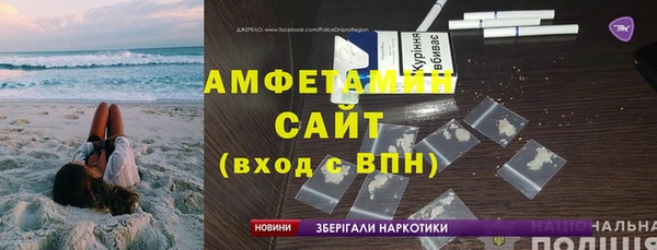 индика Инта