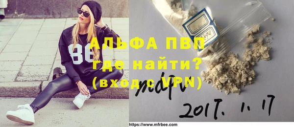 прущие грибы Иннополис