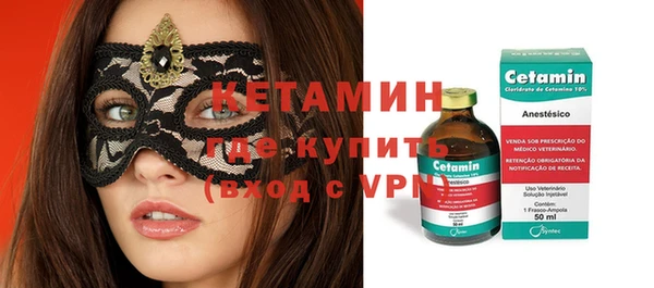индика Инта